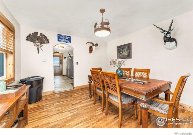 dining space featuring plenty of natural light and light hardwood / wood-style floors