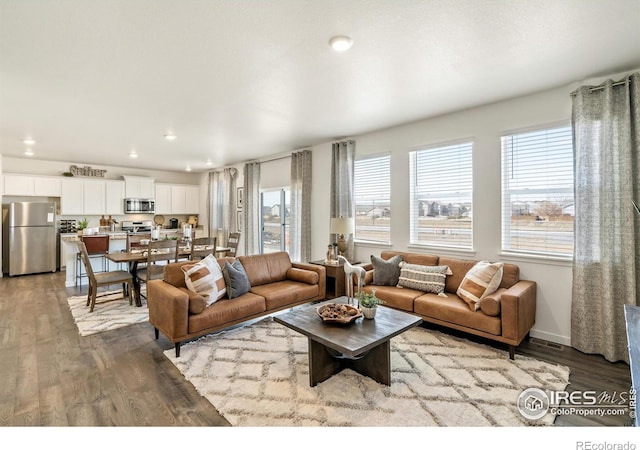 living room featuring light hardwood / wood-style floors