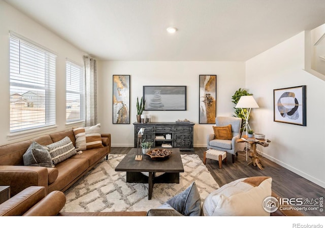 living room with hardwood / wood-style floors