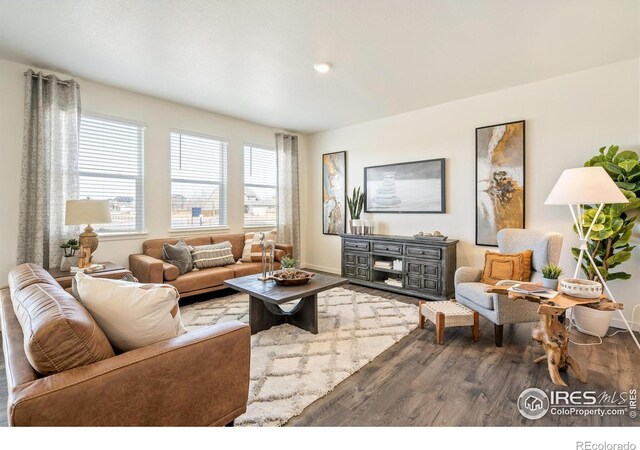 living room with hardwood / wood-style floors