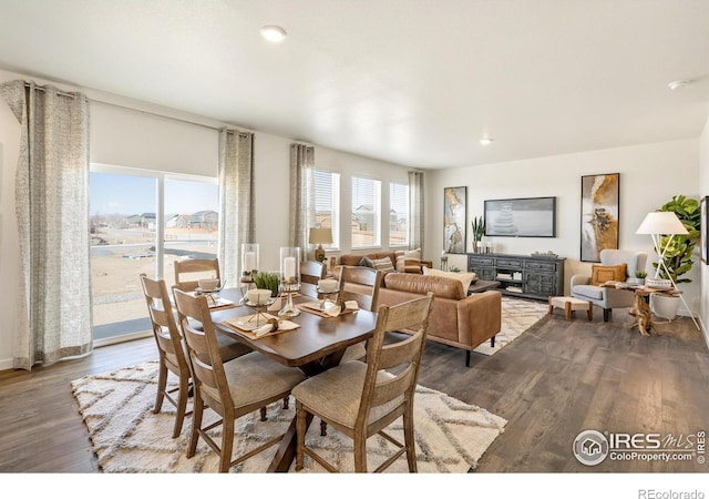 dining space featuring hardwood / wood-style flooring