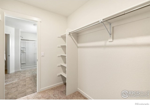 walk in closet featuring light colored carpet