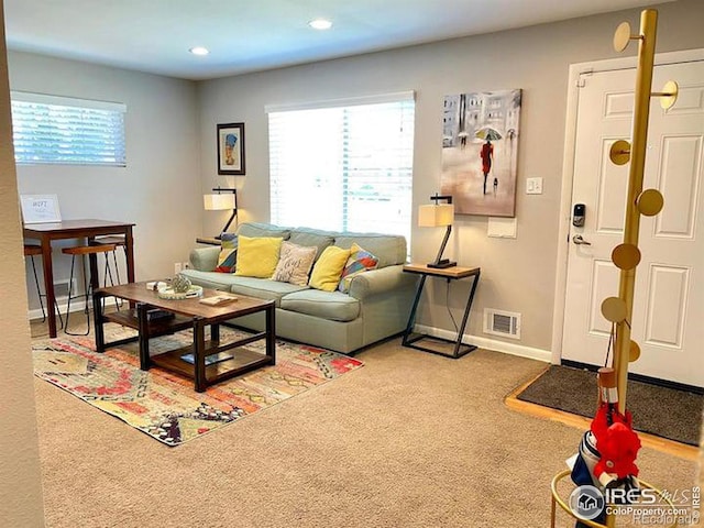 living room featuring carpet floors