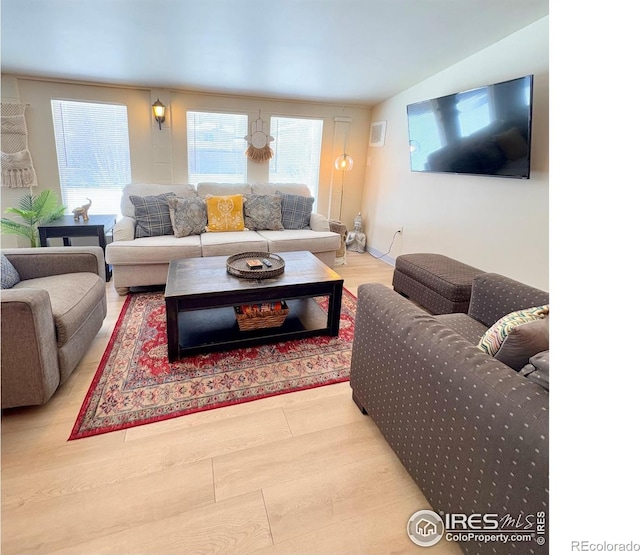 living room with hardwood / wood-style flooring and lofted ceiling