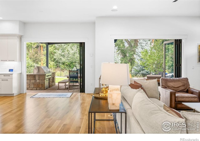 living room featuring light hardwood / wood-style flooring