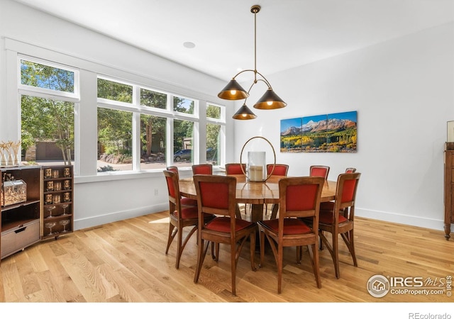 dining room featuring light wood-type flooring