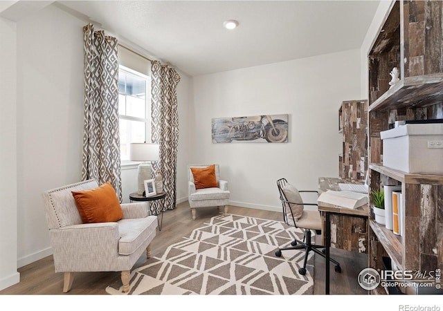 office area featuring hardwood / wood-style floors