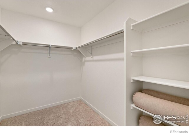 spacious closet featuring carpet