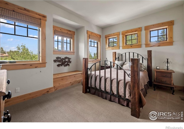 bedroom featuring carpet floors