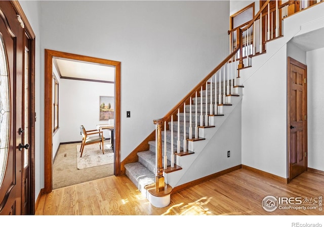 staircase featuring wood-type flooring