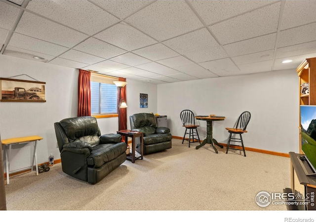 living area with carpet and a drop ceiling