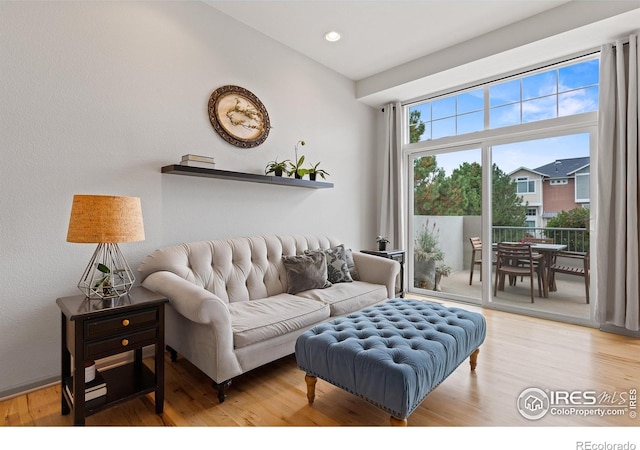 living room featuring hardwood / wood-style floors