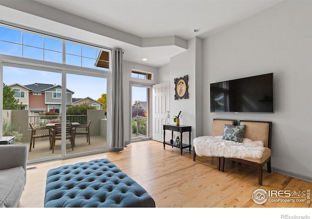 living room featuring hardwood / wood-style floors