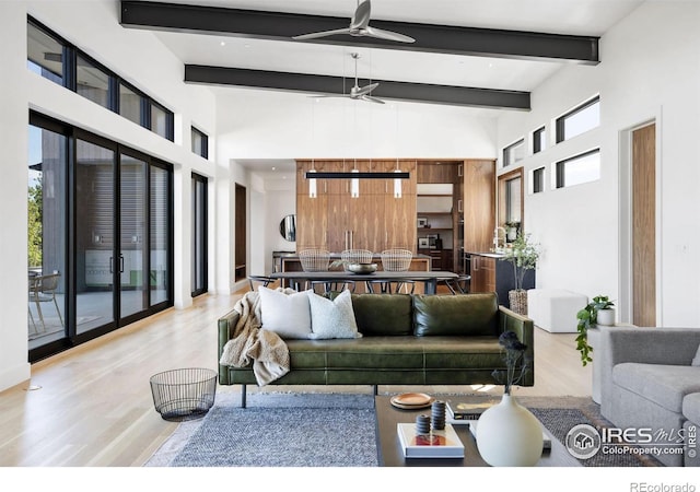 living room featuring ceiling fan, a high ceiling, hardwood / wood-style floors, and beam ceiling