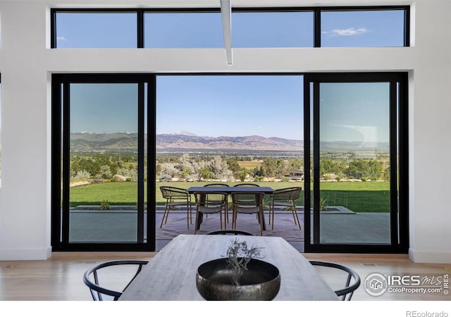 entryway featuring a mountain view and wood-type flooring