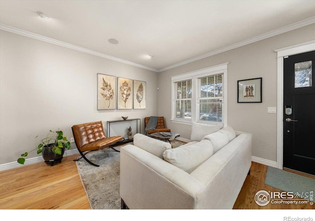 living room featuring hardwood / wood-style floors and ornamental molding