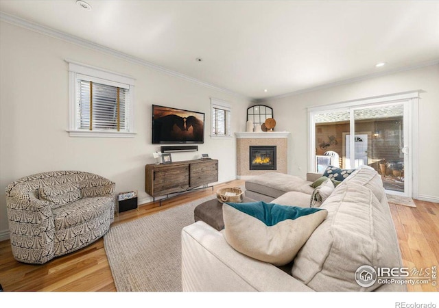 living room featuring hardwood / wood-style flooring and ornamental molding