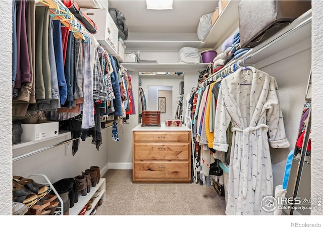 walk in closet with light colored carpet