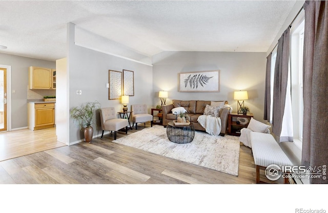 living room featuring lofted ceiling, a wealth of natural light, and light hardwood / wood-style flooring