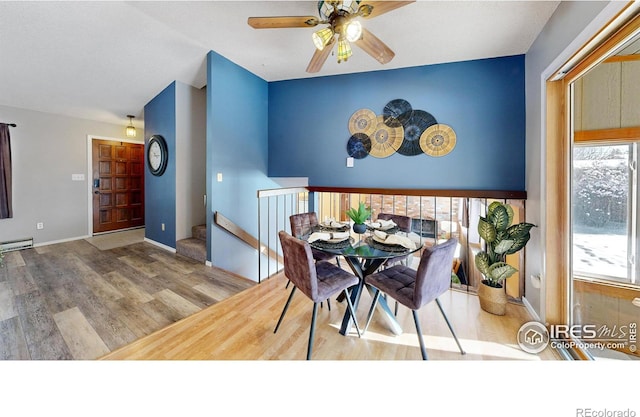 dining room with ceiling fan, a baseboard radiator, hardwood / wood-style floors, and a wealth of natural light