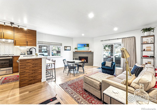 living room with sink, a fireplace, light hardwood / wood-style floors, and track lighting