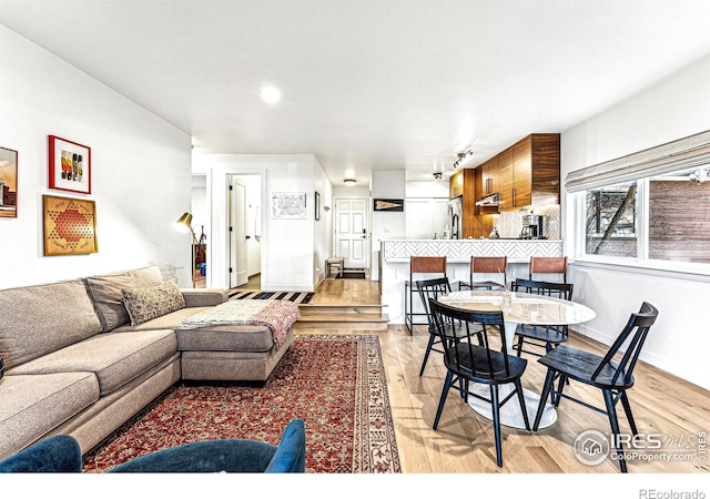 living room with light hardwood / wood-style flooring