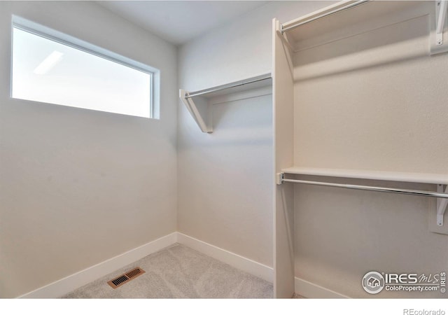 spacious closet featuring light colored carpet