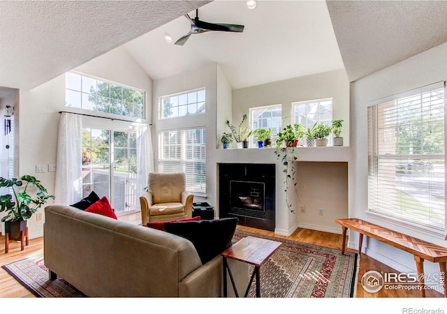 living room with a wealth of natural light, wood-type flooring, a textured ceiling, and ceiling fan