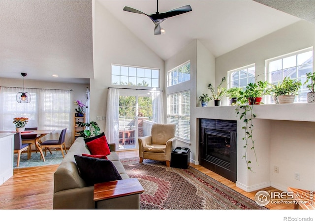 living room featuring plenty of natural light, light hardwood / wood-style flooring, and a textured ceiling