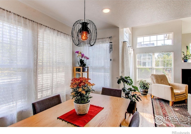 dining room featuring a textured ceiling