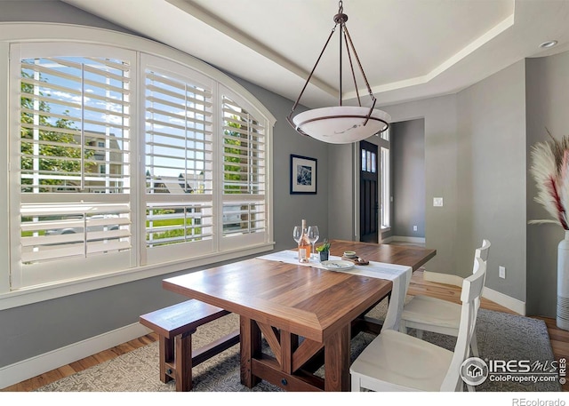 dining room featuring wood-type flooring and a tray ceiling