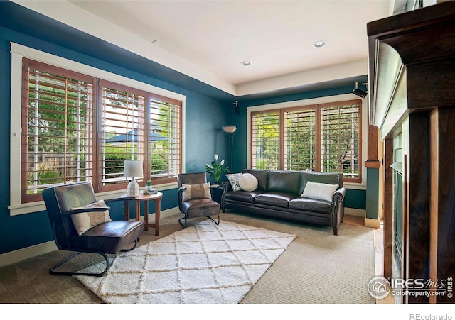 view of carpeted living room