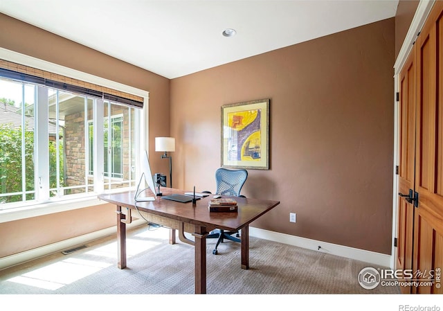 carpeted office space with plenty of natural light