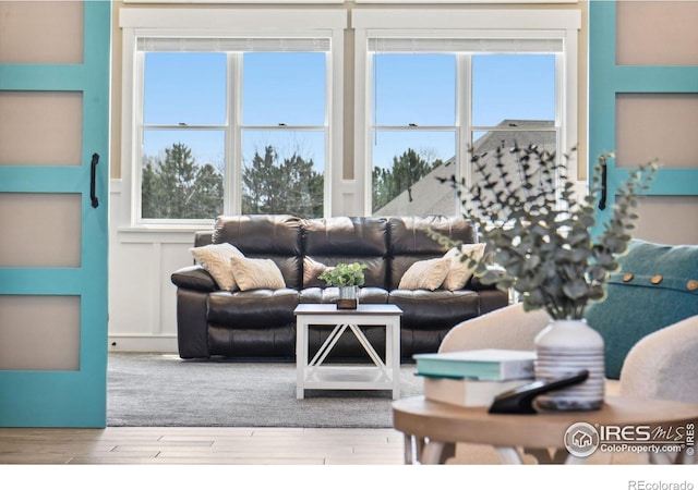 living room featuring light wood-type flooring and a wealth of natural light