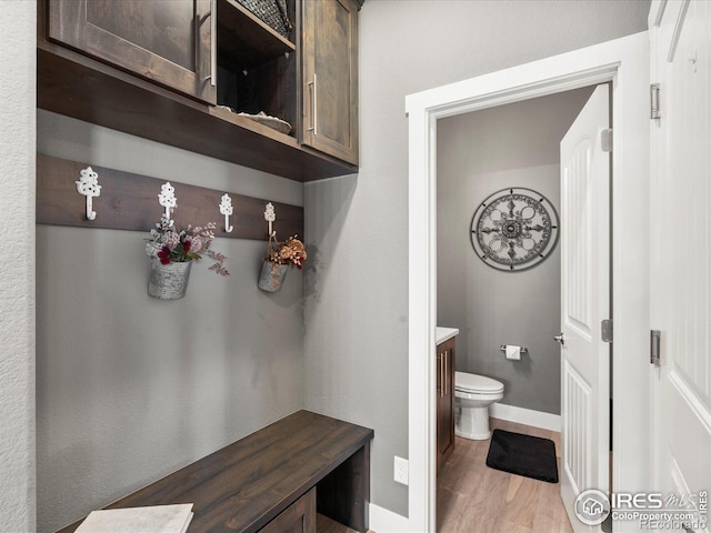 bathroom with wood-type flooring, toilet, and vanity