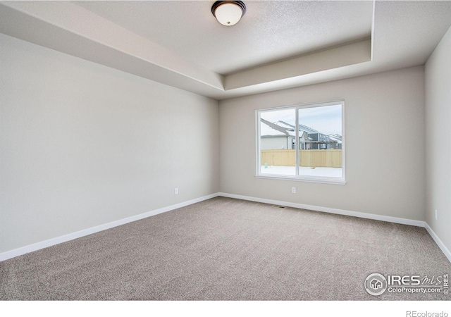 unfurnished room featuring a raised ceiling and carpet