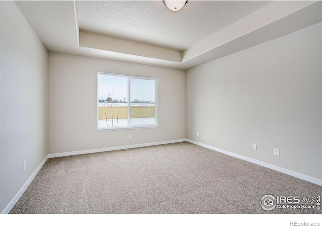 empty room featuring a raised ceiling and carpet floors