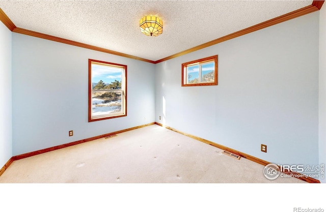 carpeted empty room with crown molding and a textured ceiling