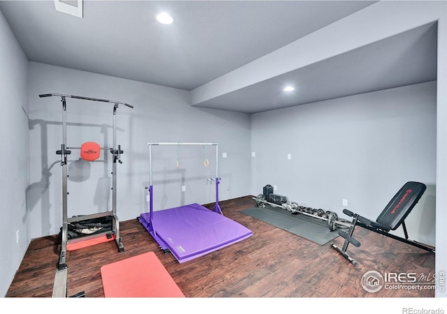 workout area featuring dark hardwood / wood-style flooring