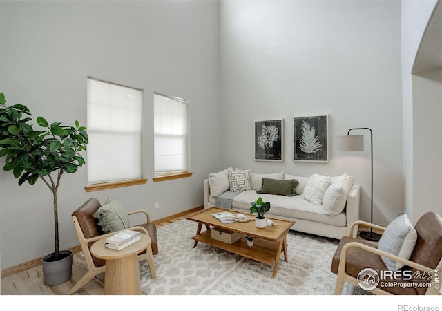 living room with light hardwood / wood-style flooring