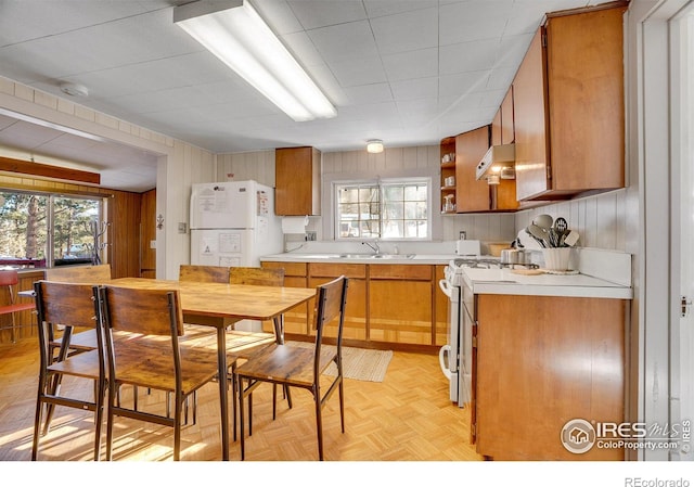 kitchen with sink, white appliances, plenty of natural light, and light parquet floors