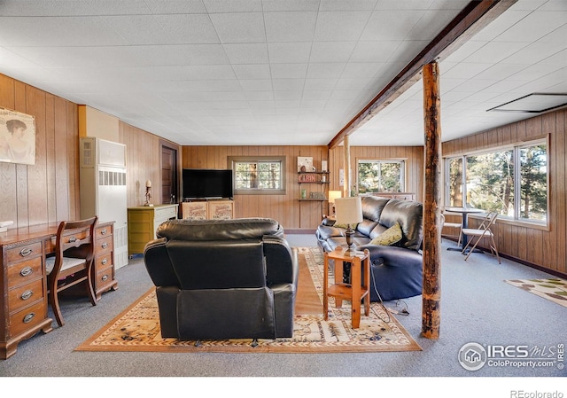 living room with wooden walls and carpet flooring