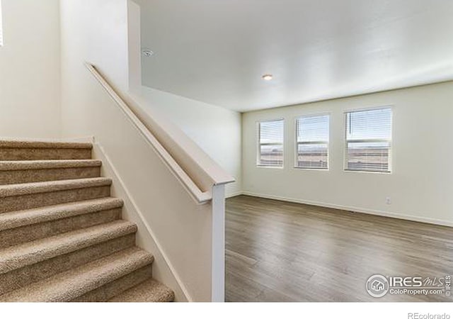 stairs with wood-type flooring