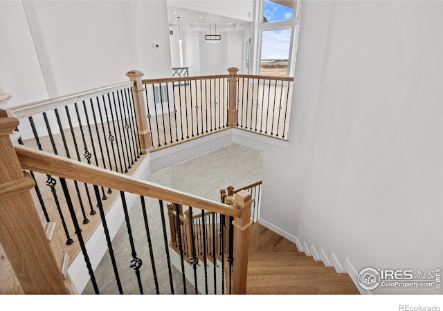 staircase featuring wood-type flooring