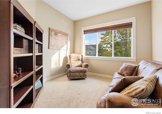 living area featuring carpet