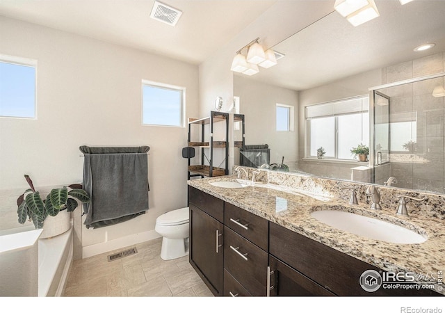 full bathroom featuring toilet, vanity, plus walk in shower, and a wealth of natural light