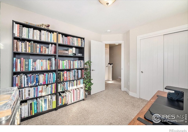 home office with carpet floors