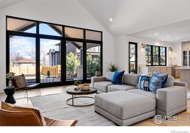 living room with high vaulted ceiling