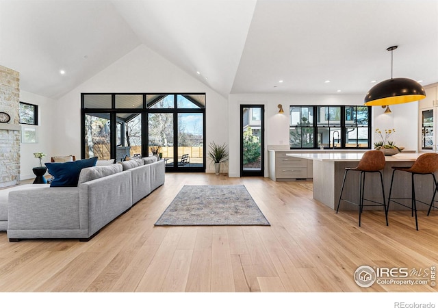 living room with high vaulted ceiling and light hardwood / wood-style floors