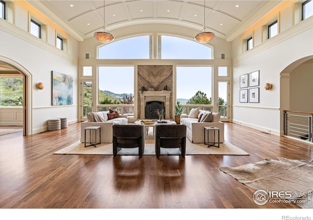 living room featuring wood-type flooring, high vaulted ceiling, a mountain view, and a fireplace